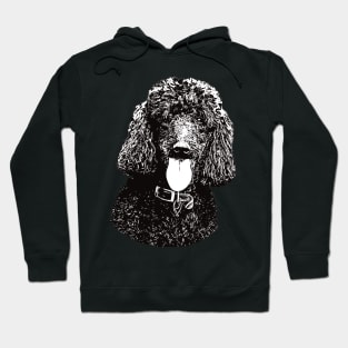 Poodle - Poodle Christmas Gifts Hoodie